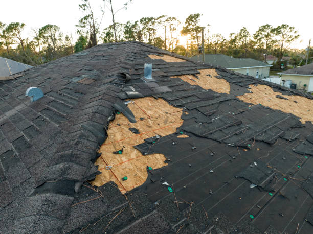Best Skylight Installation and Repair  in Stanleytown, VA